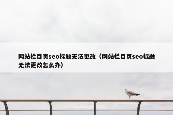 网站栏目页seo标题无法更改（网站栏目页seo标题无法更改怎么办）