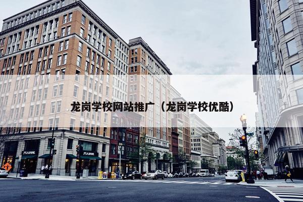 龙岗学校网站推广（龙岗学校优酷）