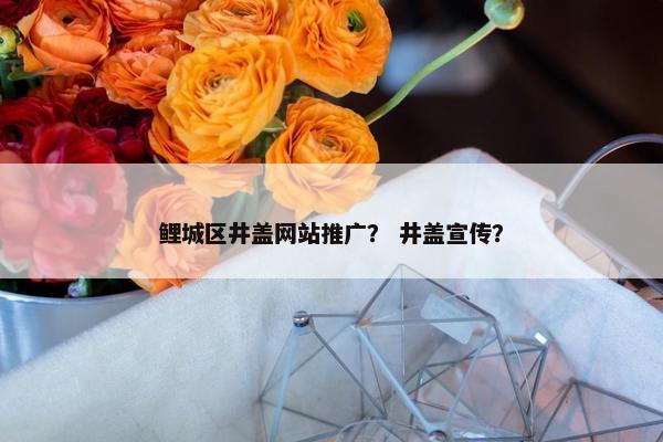 鲤城区井盖网站推广？ 井盖宣传？