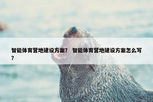 智能体育营地建设方案？ 智能体育营地建设方案怎么写？