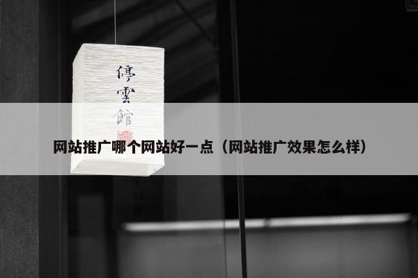 网站推广哪个网站好一点（网站推广效果怎么样）