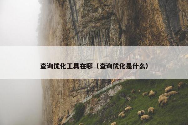 查询优化工具在哪（查询优化是什么）