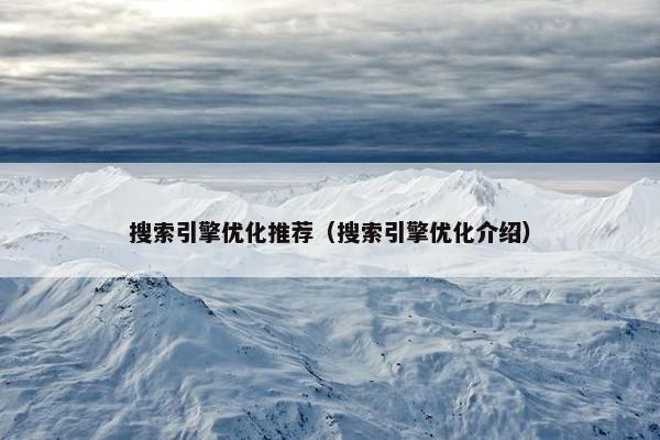 搜索引擎优化推荐（搜索引擎优化介绍）