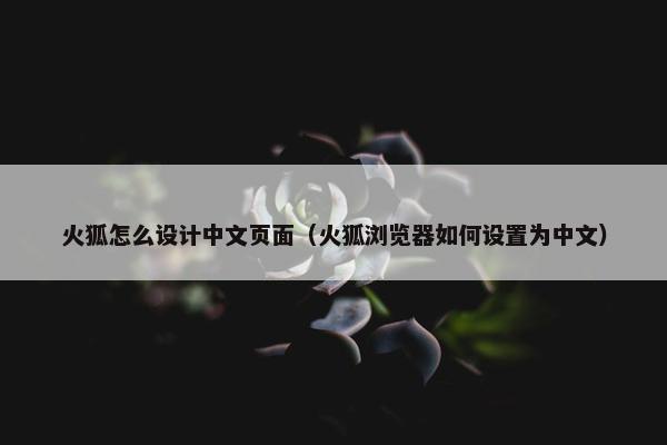 火狐怎么设计中文页面（火狐浏览器如何设置为中文）