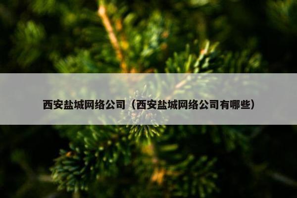 西安盐城网络公司（西安盐城网络公司有哪些）