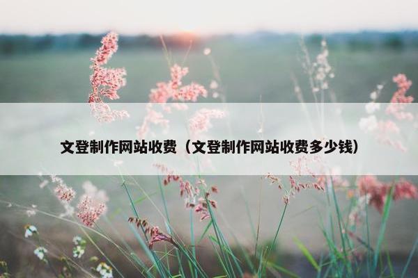 文登制作网站收费（文登制作网站收费多少钱）