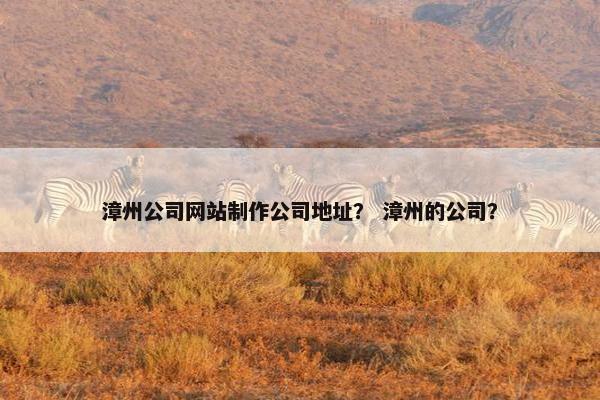 漳州公司网站制作公司地址？ 漳州的公司？