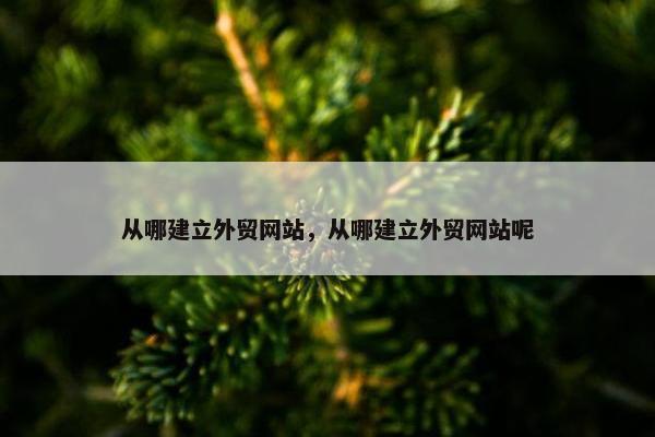 从哪建立外贸网站，从哪建立外贸网站呢