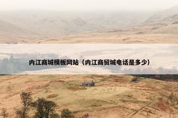 内江商城模板网站（内江商贸城电话是多少）