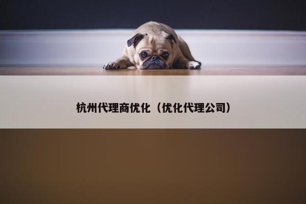 杭州代理商优化（优化代理公司）