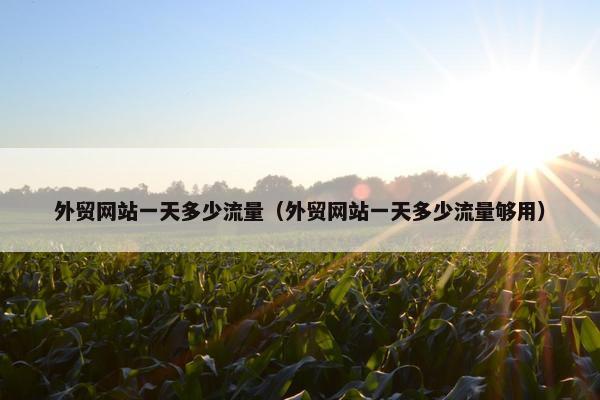 外贸网站一天多少流量（外贸网站一天多少流量够用）