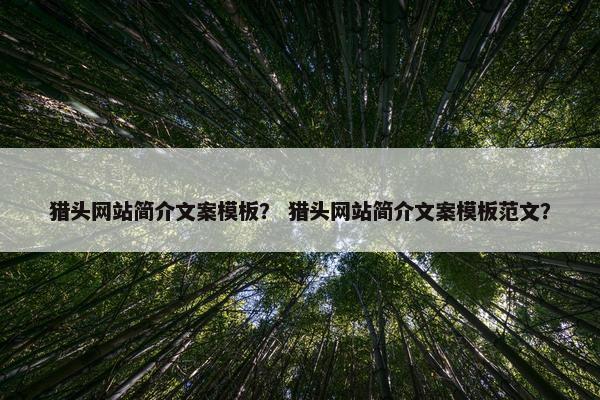猎头网站简介文案模板？ 猎头网站简介文案模板范文？