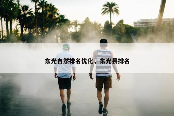 东光自然排名优化，东光县排名