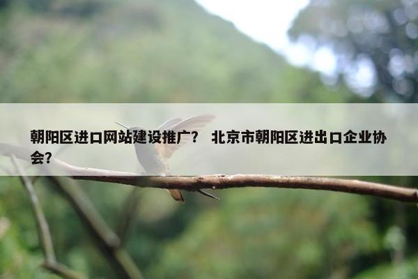 朝阳区进口网站建设推广？ 北京市朝阳区进出口企业协会？