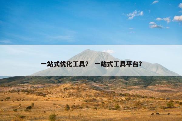 一站式优化工具？ 一站式工具平台？
