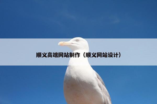 顺义高端网站制作（顺义网站设计）