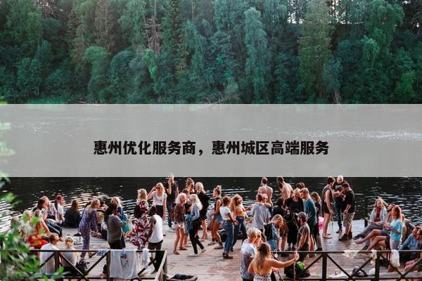 惠州优化服务商，惠州城区高端服务