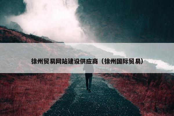 徐州贸易网站建设供应商（徐州国际贸易）