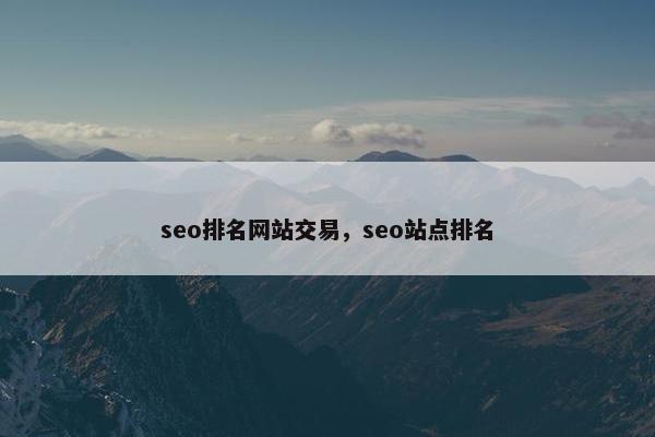 seo排名网站交易，seo站点排名