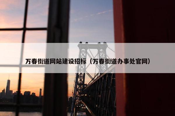 万春街道网站建设招标（万春街道办事处官网）