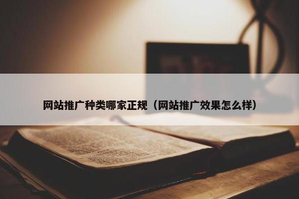 网站推广种类哪家正规（网站推广效果怎么样）