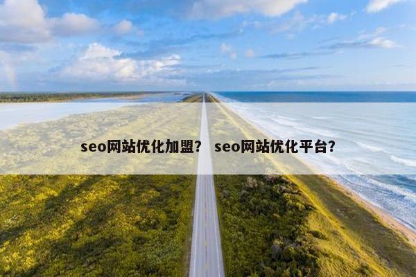 seo网站优化加盟？ seo网站优化平台？