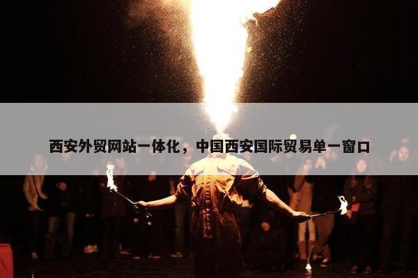 西安外贸网站一体化，中国西安国际贸易单一窗口