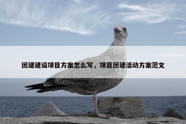 团建建设项目方案怎么写，项目团建活动方案范文