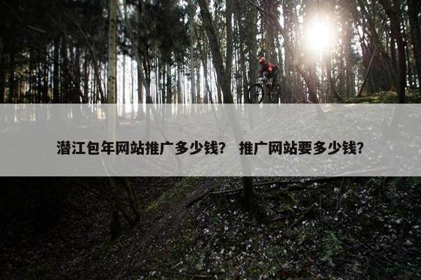 潜江包年网站推广多少钱？ 推广网站要多少钱？