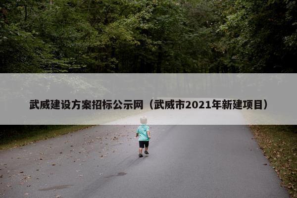 武威建设方案招标公示网（武威市2021年新建项目）