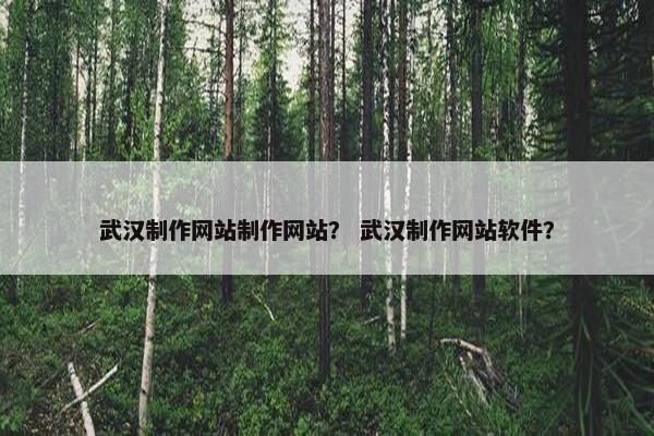 武汉制作网站制作网站？ 武汉制作网站软件？
