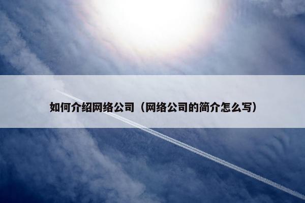 如何介绍网络公司（网络公司的简介怎么写）