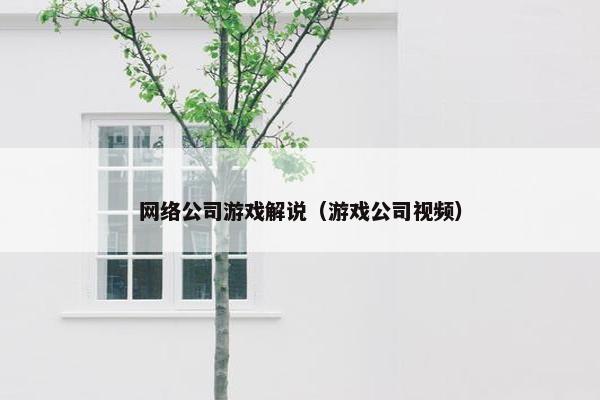 网络公司游戏解说（游戏公司视频）