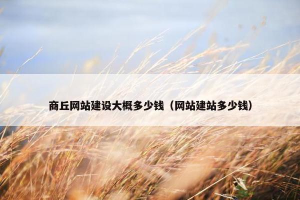 商丘网站建设大概多少钱（网站建站多少钱）