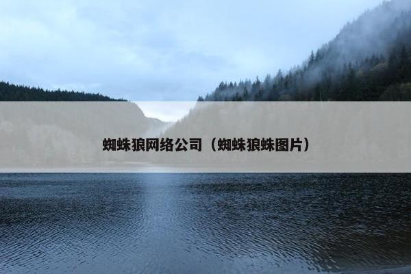 蜘蛛狼网络公司（蜘蛛狼蛛图片）