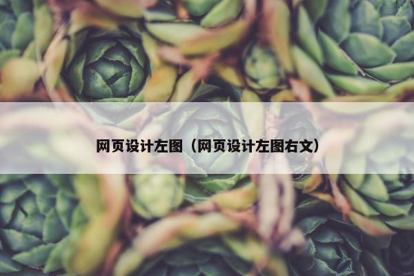 网页设计左图（网页设计左图右文）