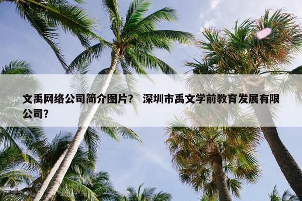 文禹网络公司简介图片？ 深圳市禹文学前教育发展有限公司？