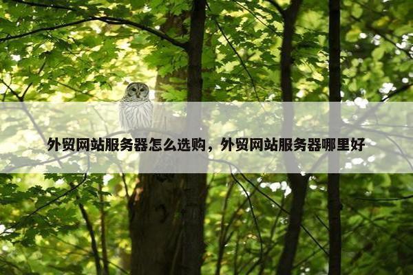 外贸网站服务器怎么选购，外贸网站服务器哪里好