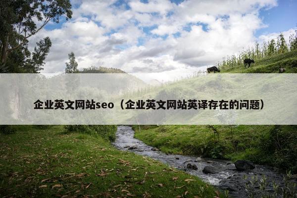 企业英文网站seo（企业英文网站英译存在的问题）