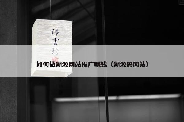 如何做溯源网站推广赚钱（溯源码网站）