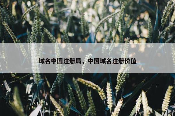 域名中国注册局，中国域名注册价值