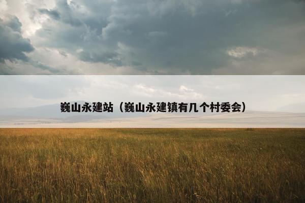 巍山永建站（巍山永建镇有几个村委会）