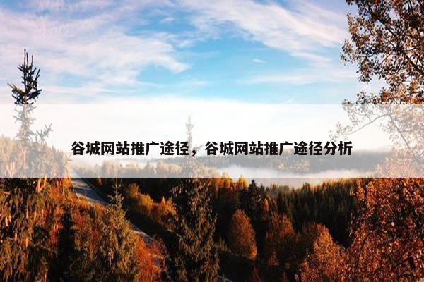 谷城网站推广途径，谷城网站推广途径分析