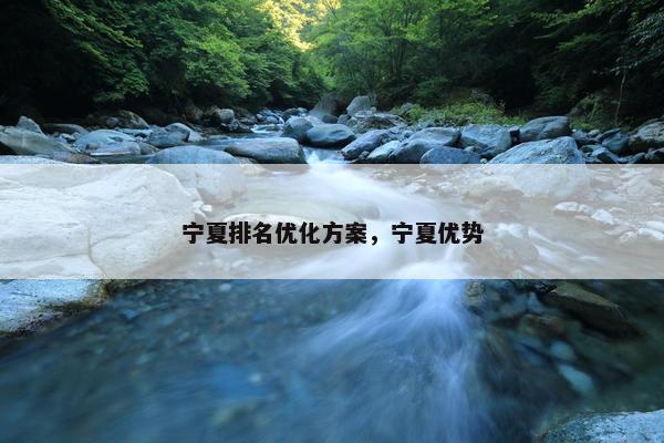 宁夏排名优化方案，宁夏优势