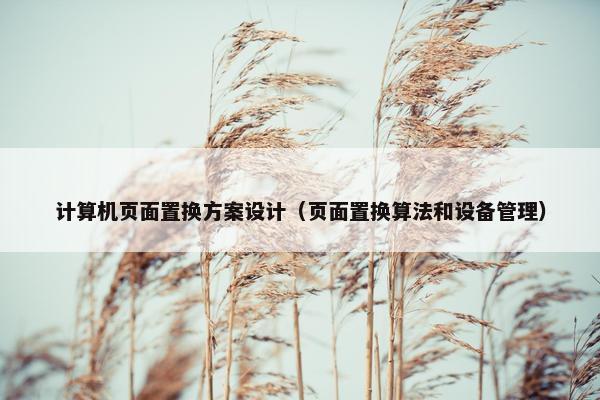 计算机页面置换方案设计（页面置换算法和设备管理）