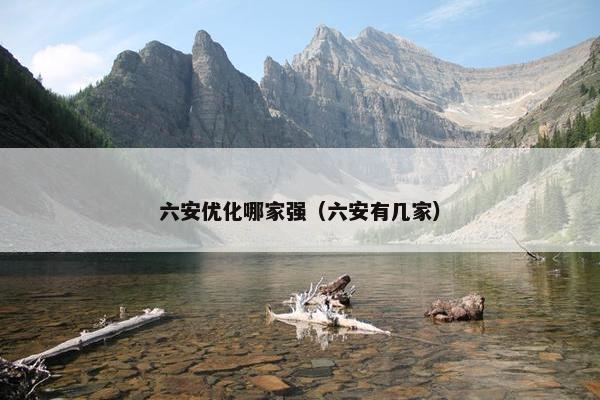 六安优化哪家强（六安有几家）