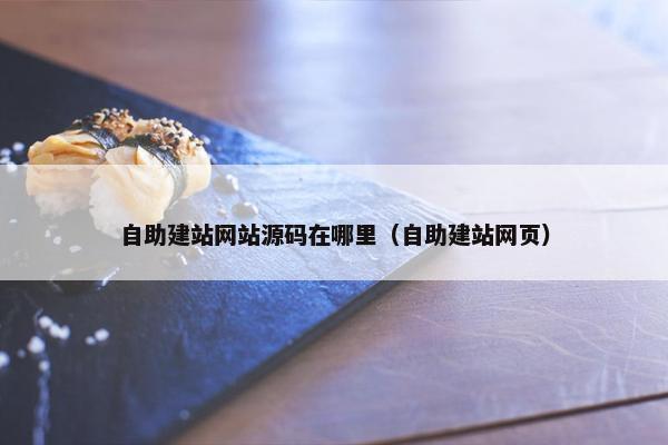 自助建站网站源码在哪里（自助建站网页）