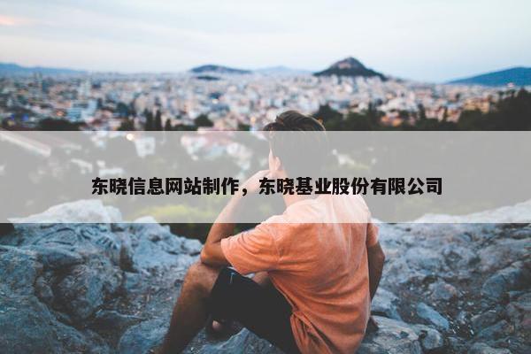 东晓信息网站制作，东晓基业股份有限公司