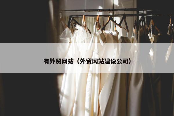 有外贸网站（外贸网站建设公司）