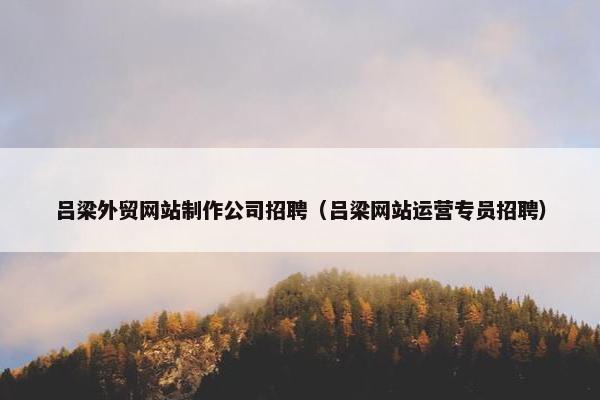 吕梁外贸网站制作公司招聘（吕梁网站运营专员招聘）